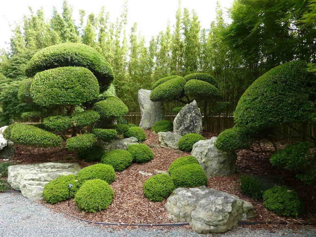 японский сад в ландшафтном дизайне