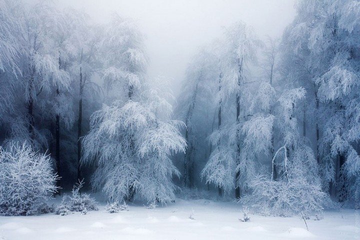 зимние пейзажи фото