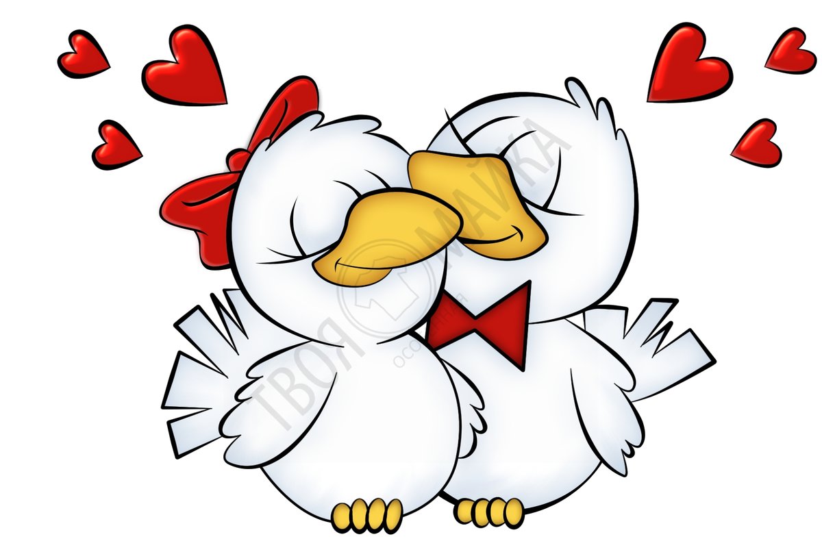 ���������� �������� 14 �������, ������������