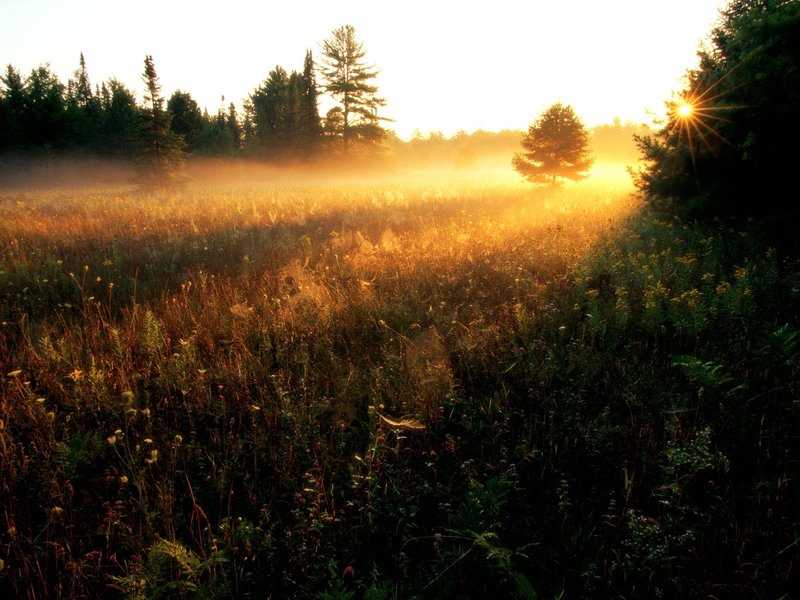 Установить