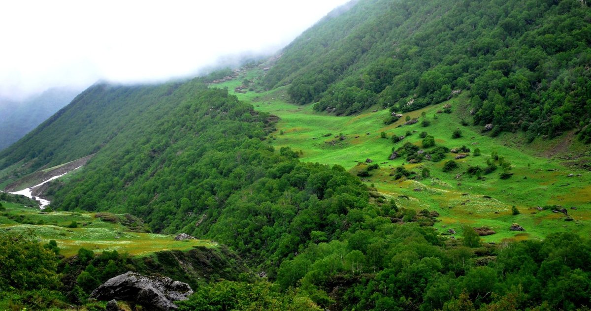 Valley of Flowers National Park