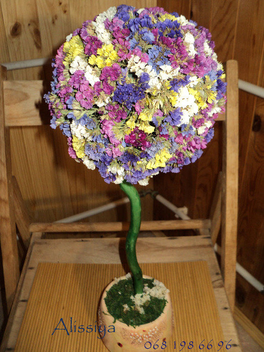 аккуратное дерево счастья сделанное собственноручно из сухих цветов для декора квартиры