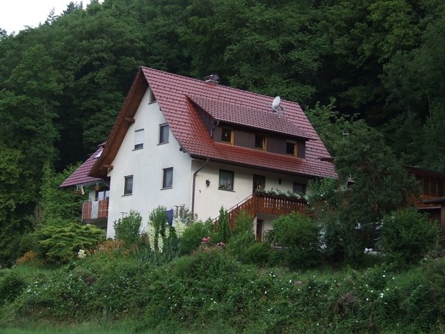 бад грисбах германия фото
