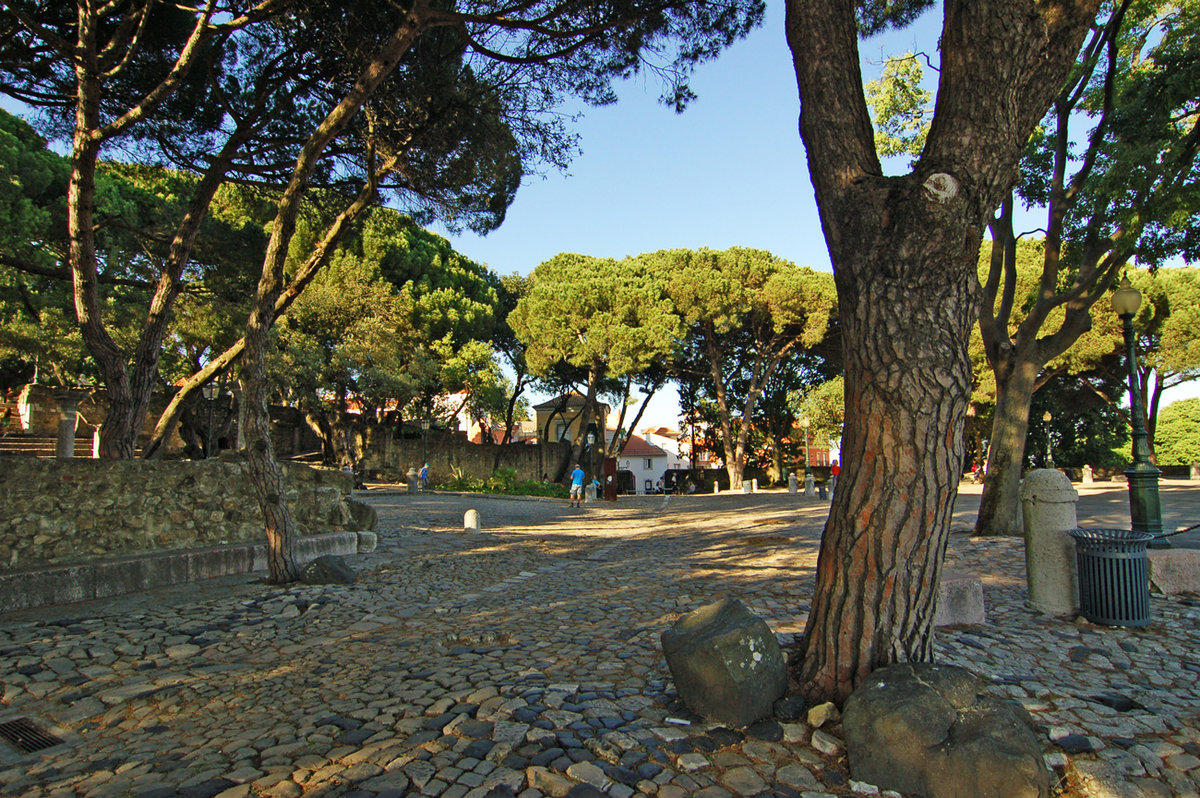 апельсиновый сад — giardino degli aranci фото