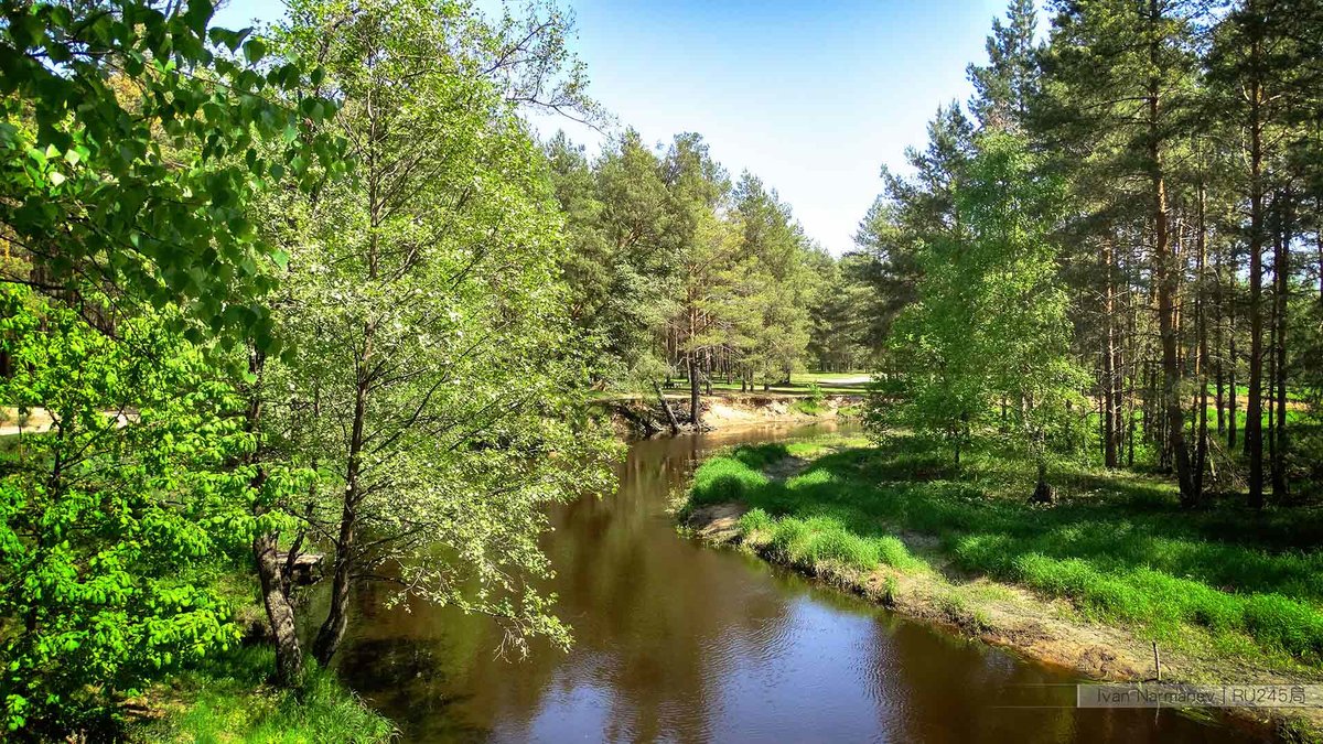 лесная поляна десногорск фото