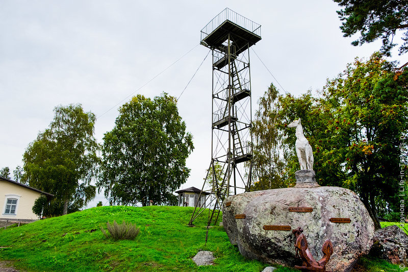 смотровая башня парк фото