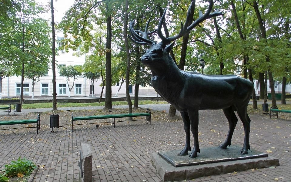 смоленск олень в парке блонье фото