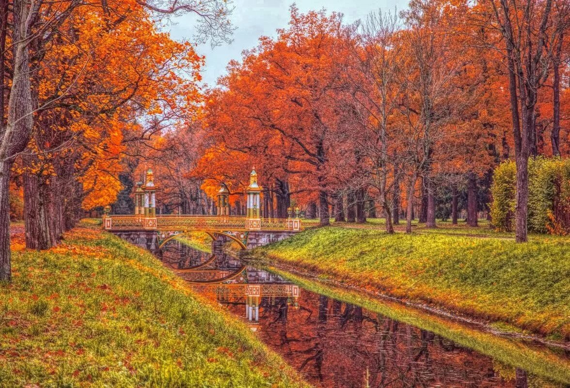 осенний парк в санкт-петербурге фото