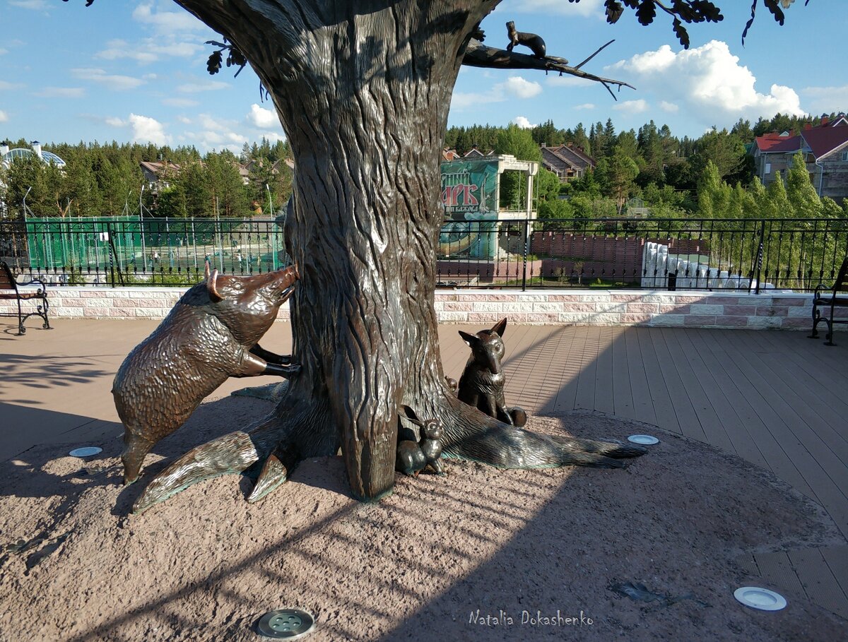 курортный кот в железноводске фото