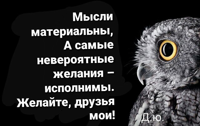 обои для смартфона сова фото