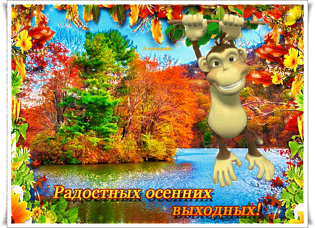 Радостных осенних выходных !