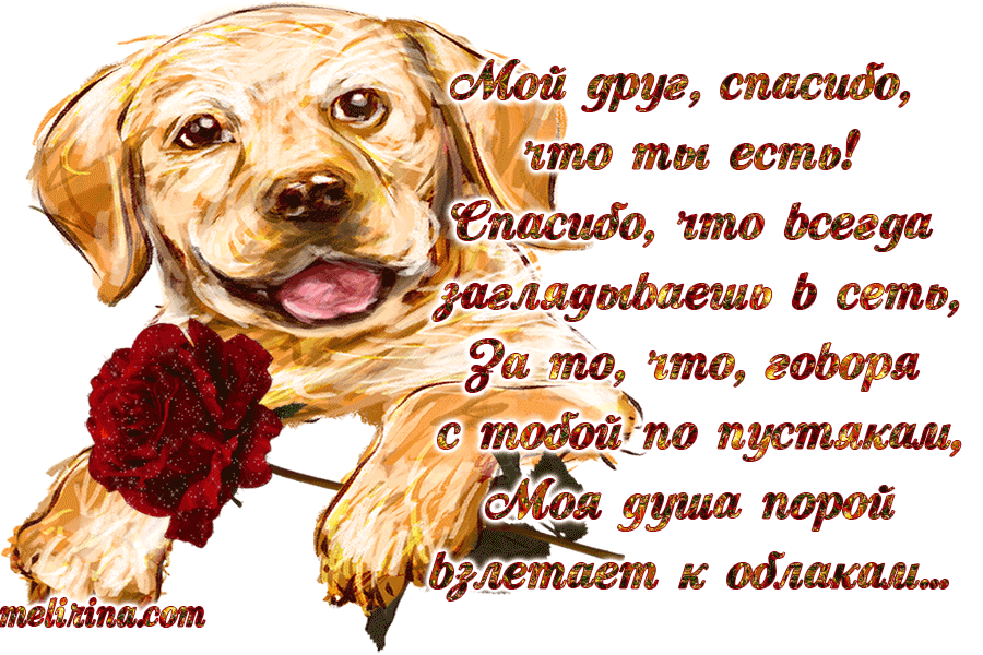 Картинки спасибо что вы есть в нашей жизни