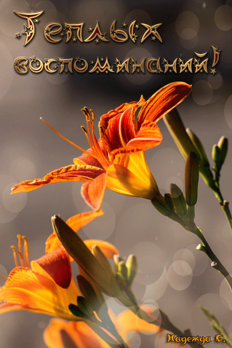 Теплых воспоминаний !