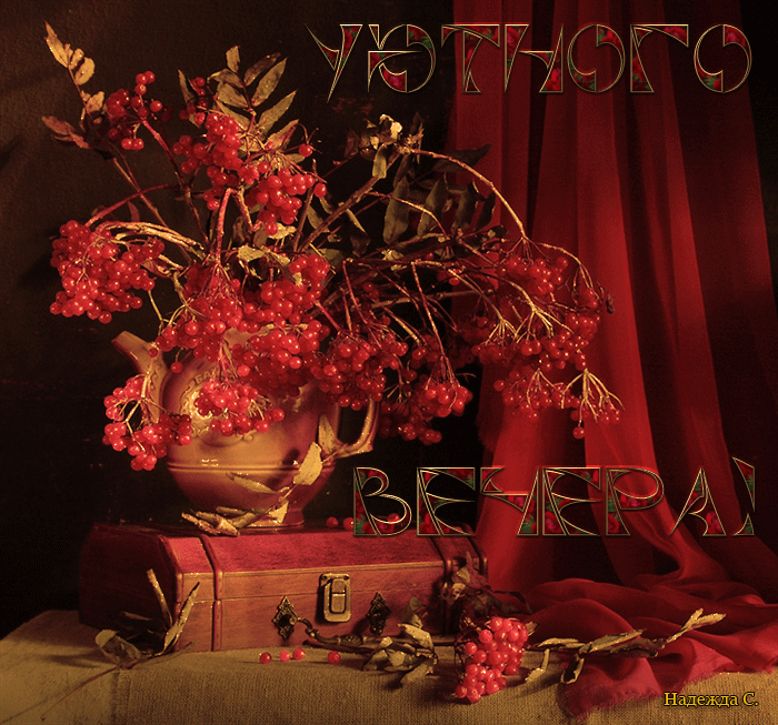 Уютного вечера !