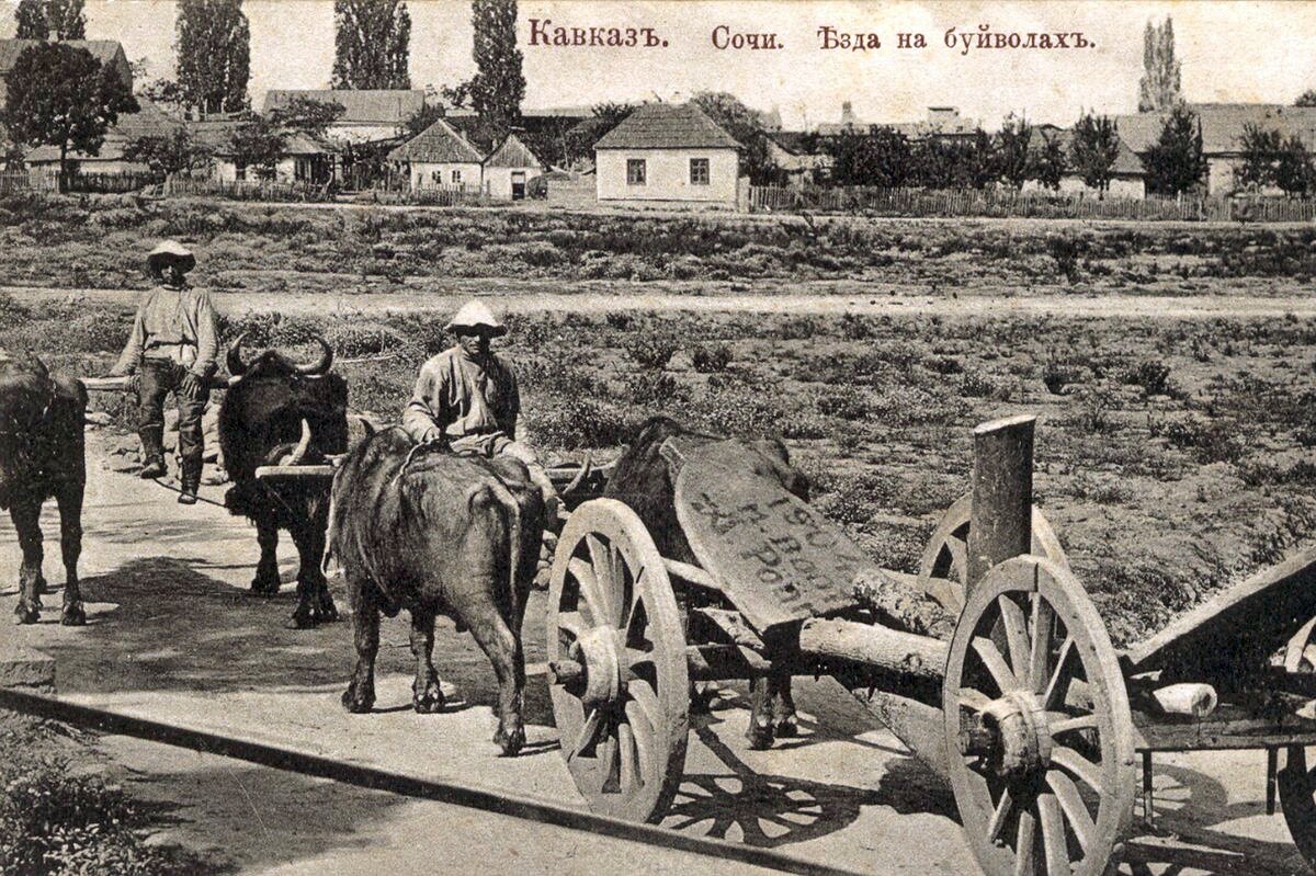 сочи 1914 год фото