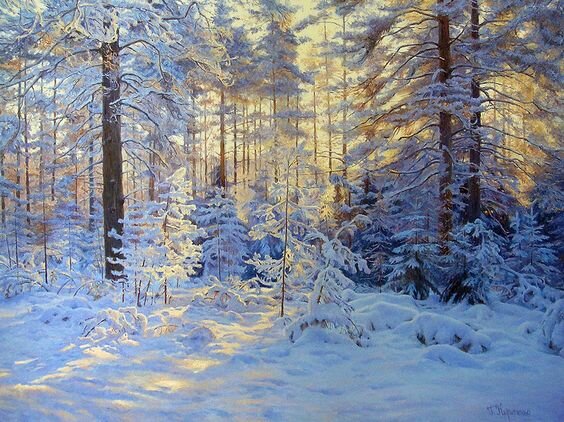 александр болотов художник в зимнем лесу фото