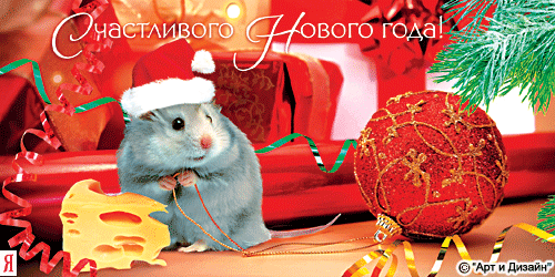 новогодний хомяк фото