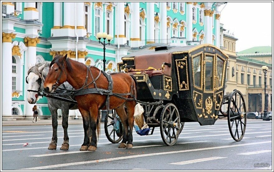 карета с лошадью фото