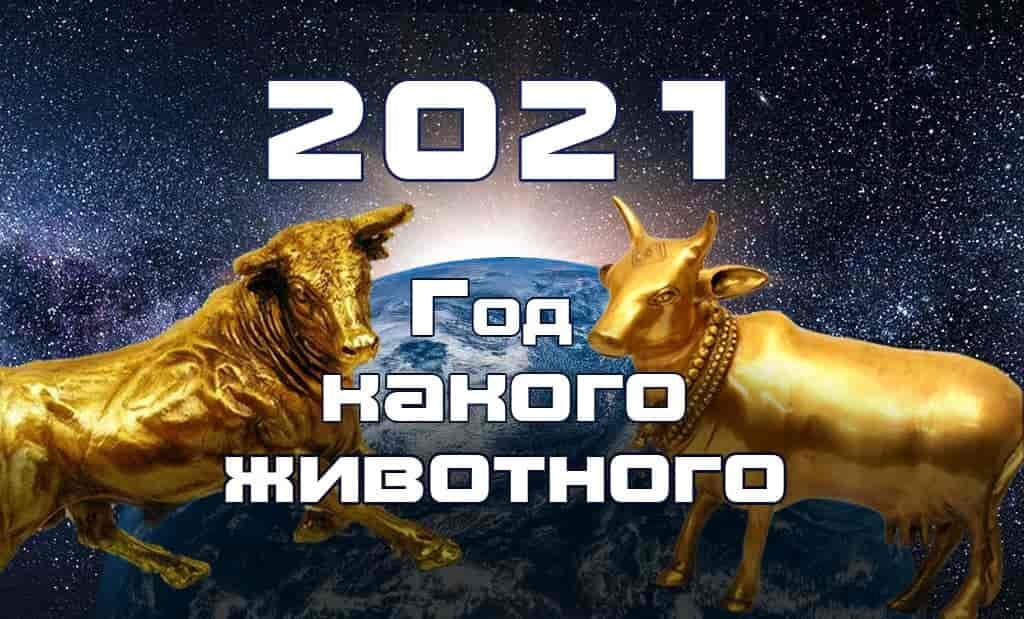 символ 2021 года по восточному фото
