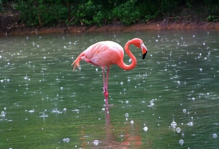 Avatars mds yandex net картинки