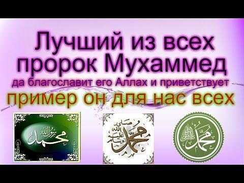 Проект на тему жизнь пророка мухаммада