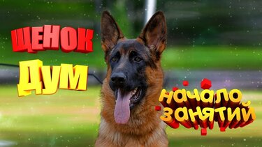 Коллекция «забава Ростелеком Скачать Приложение» Пользователя.