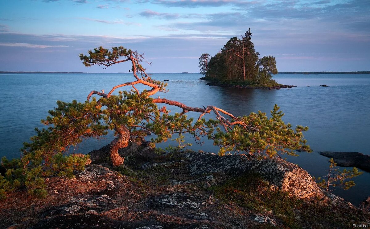энгозеро карелия фото