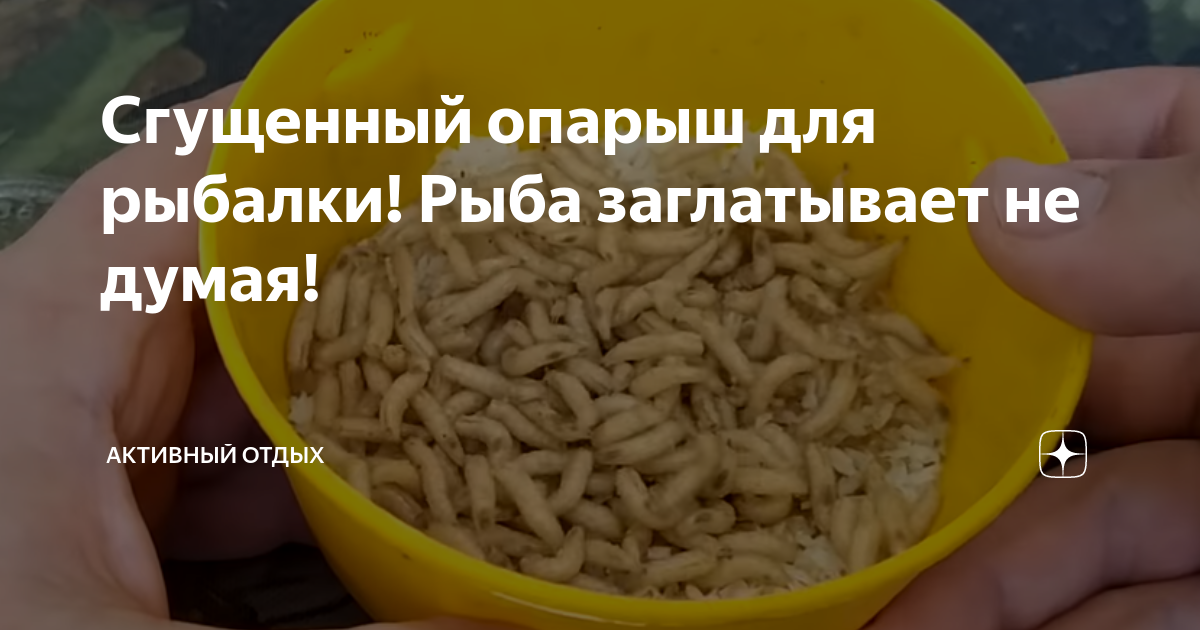 опарыши фото