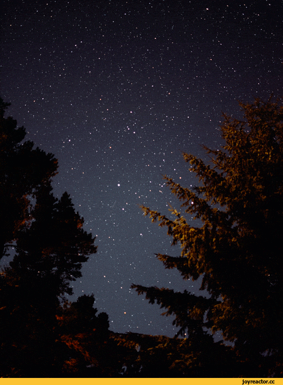 �������� ��� �������� ������