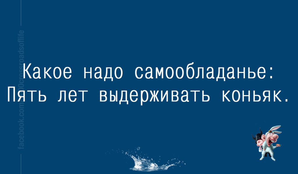 двустишия смешные фото