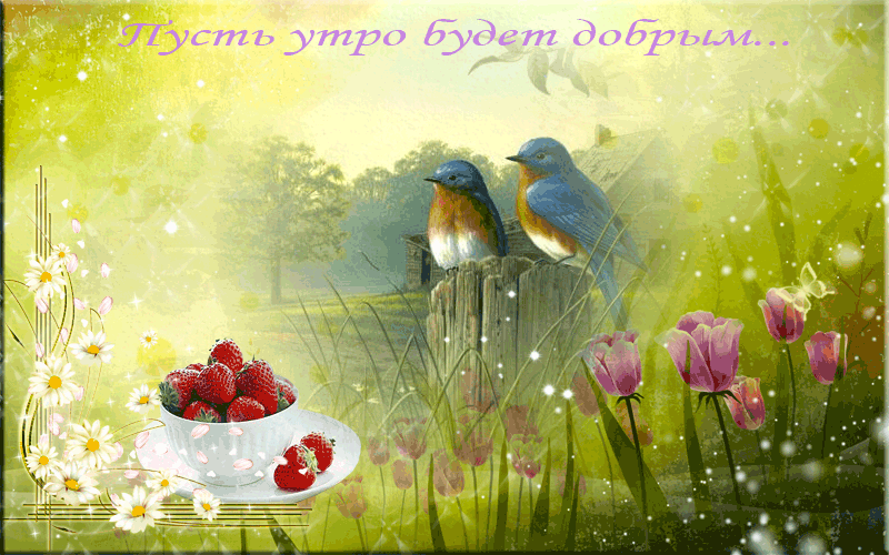 �������� ���� ����� ��������