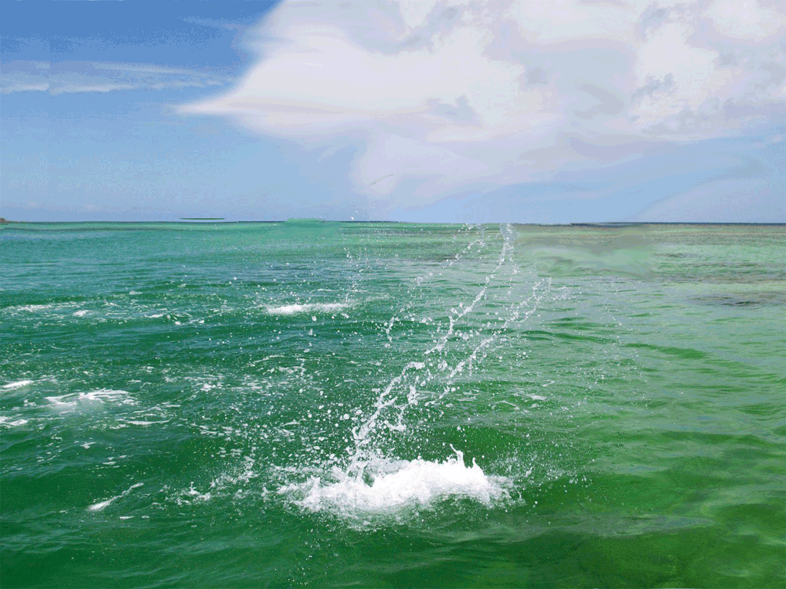 Картинки анимационные про море