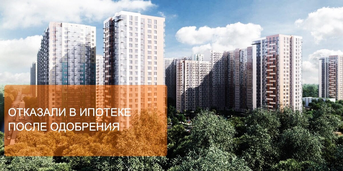 мир митино 10.1 фото