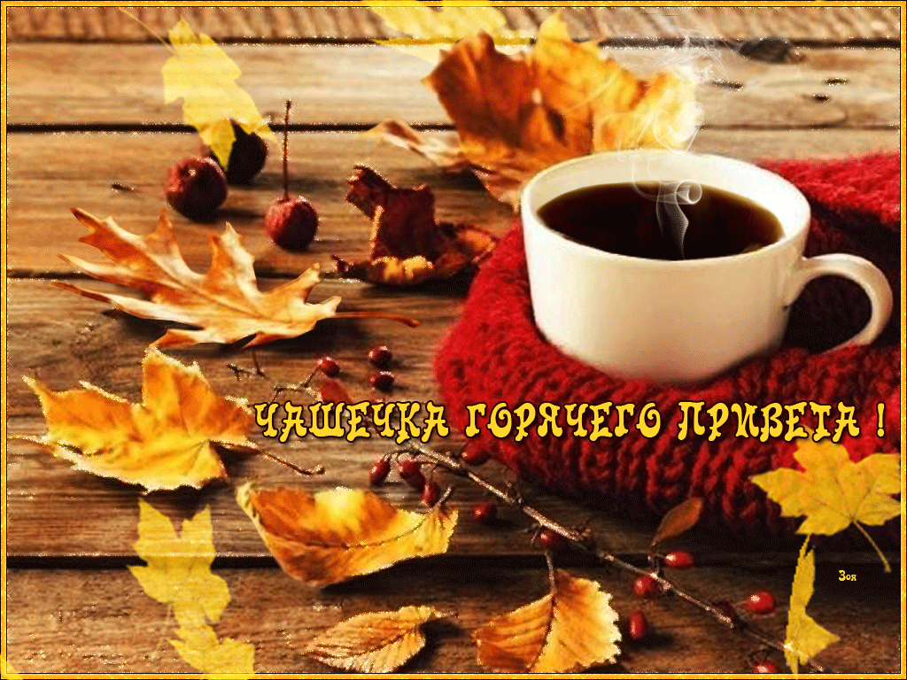 �������� ����� ������ ���� �������� ������� ������� ����� ������������