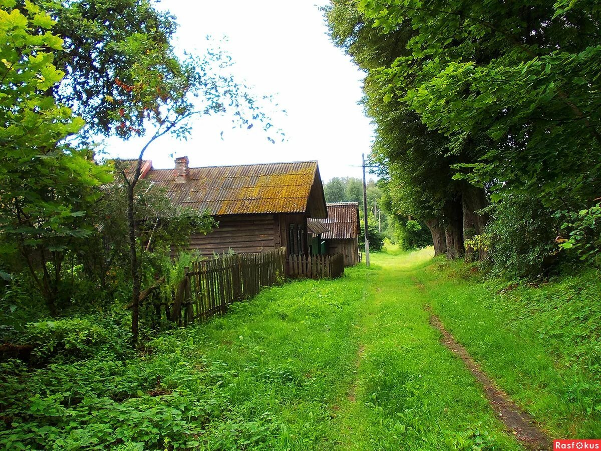 ����������� ������� ����