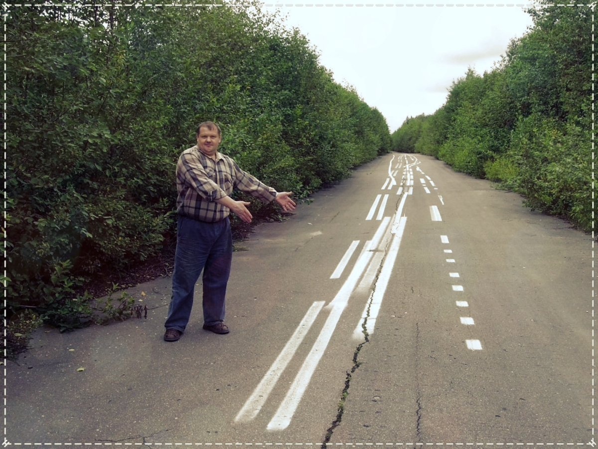 разметка на дороге приколы фото
