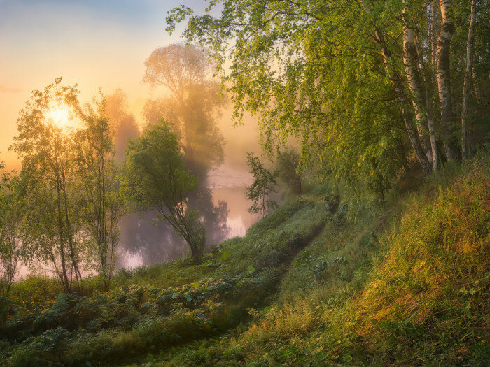 утро природа фото