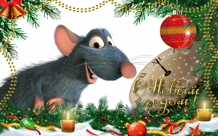 Бретань. Край отливов, солнца и гортензий. Июль 2019