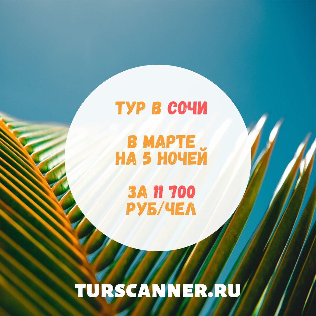 листья пальмы фото