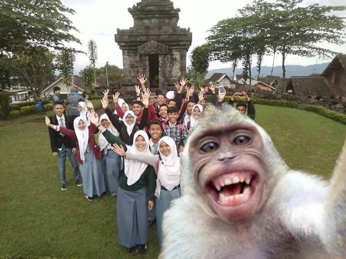 Картинки прикольное селфи