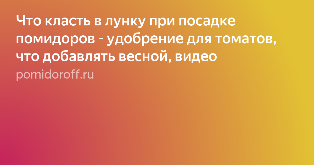 посадка помидор фото