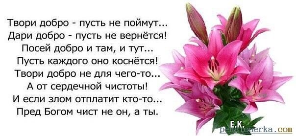 твори добро стихи фото