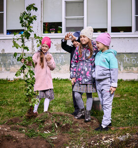 Фото 8. Спасибо первоклассникам и их родителям! Новые деревья во дворе школы