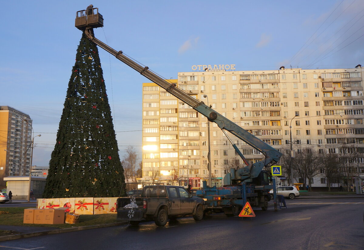 новогодняя елка фото