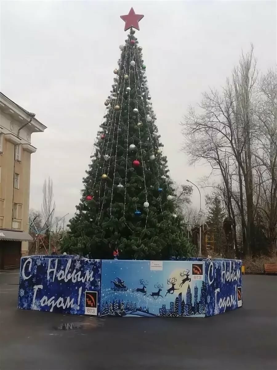 новогодняя ель фото