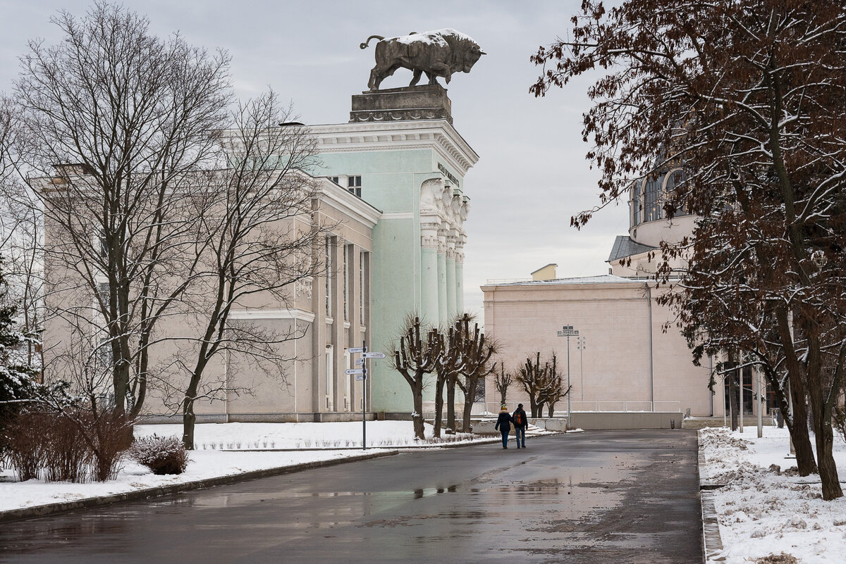 павильон мясная промышленность вднх фото