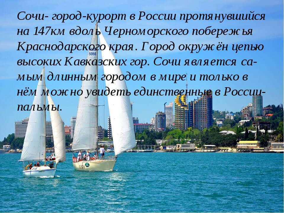 проект города россии сочи фото