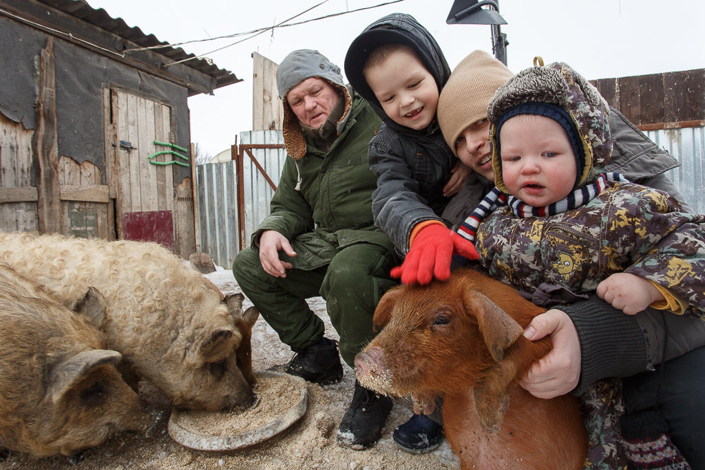 ����� ������ ��������� ���� �������� ��������