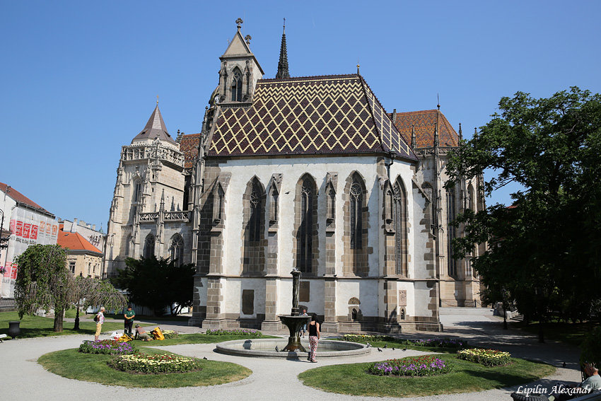 кошице фото