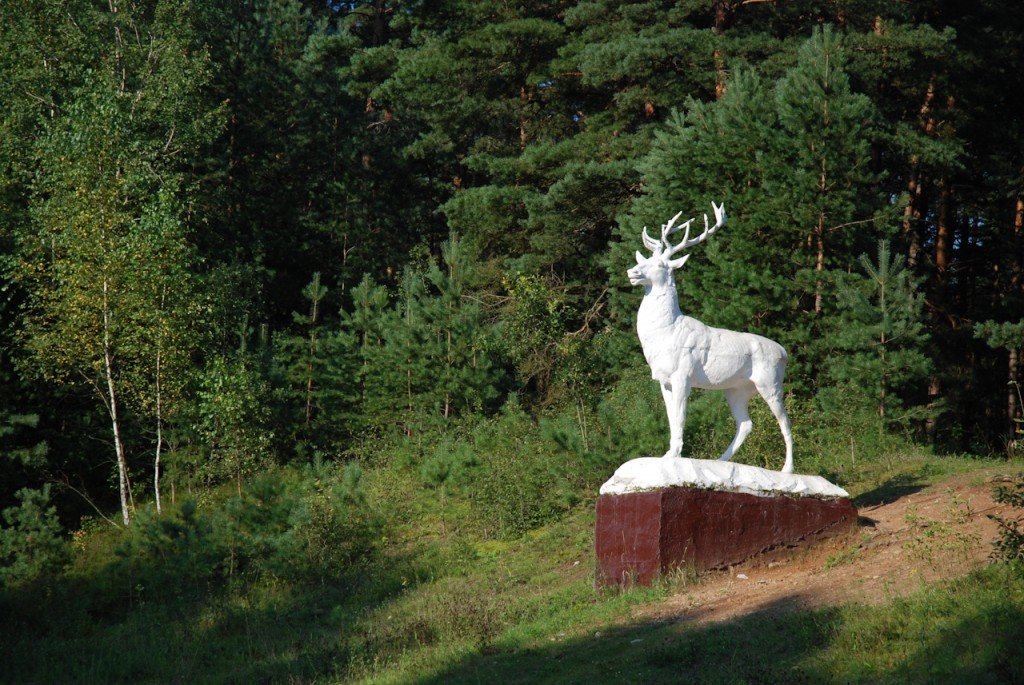 белоруссия беловежская пуща заповедник фото